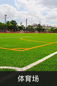 体育场.jpg
