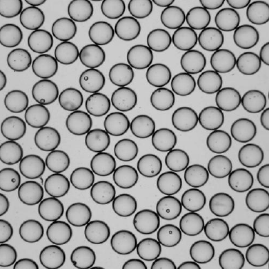 微信图片_20231106110609.png 微信图片_20231106110609.png