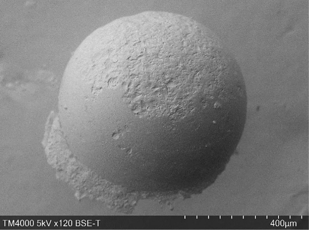 微信图片_20231106110616.jpg 微信图片_20231106110616.jpg